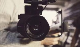 八哥爆料赤犬视频大全播放,赤犬视频大全热力播放，精彩瞬间一网打尽